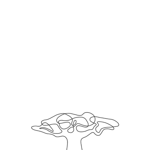 Performance properties