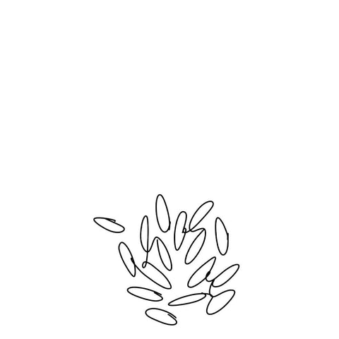 Performance properties