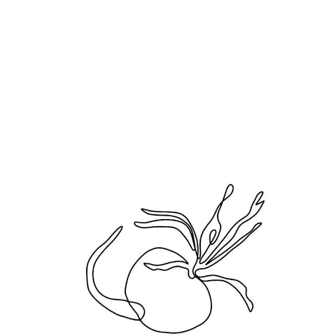 Performance properties