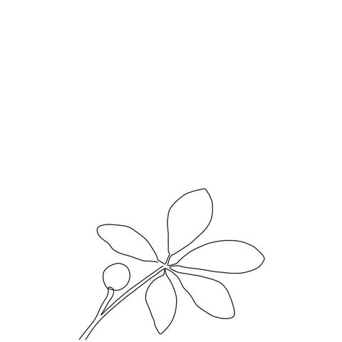 Performance properties