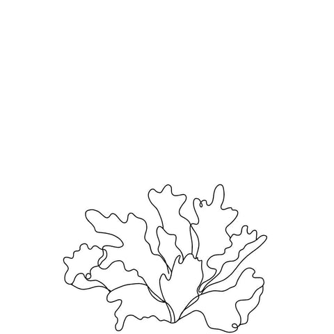 Performance properties