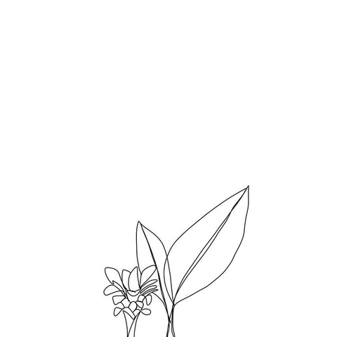 Performance  properties