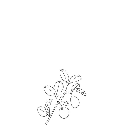 Performance properties