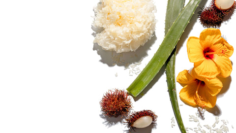 Better for Your Scalp Formulas